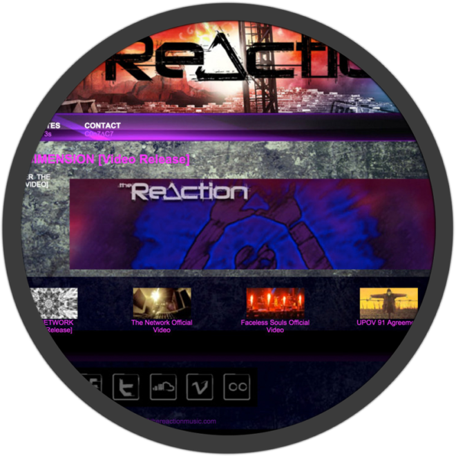 The Reaction Website screenshot